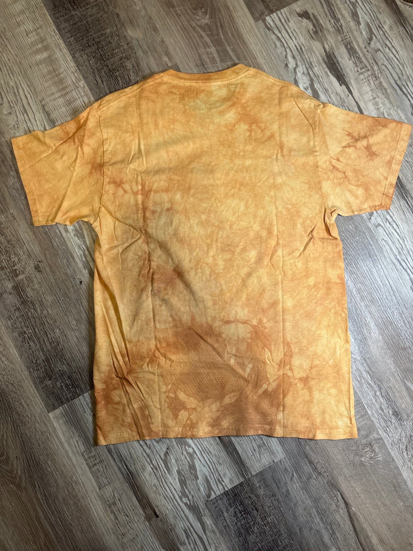 CAVE PONIES ZIA THE MOUNTAIN NATURE TEE NATIVE *VINTAGE*