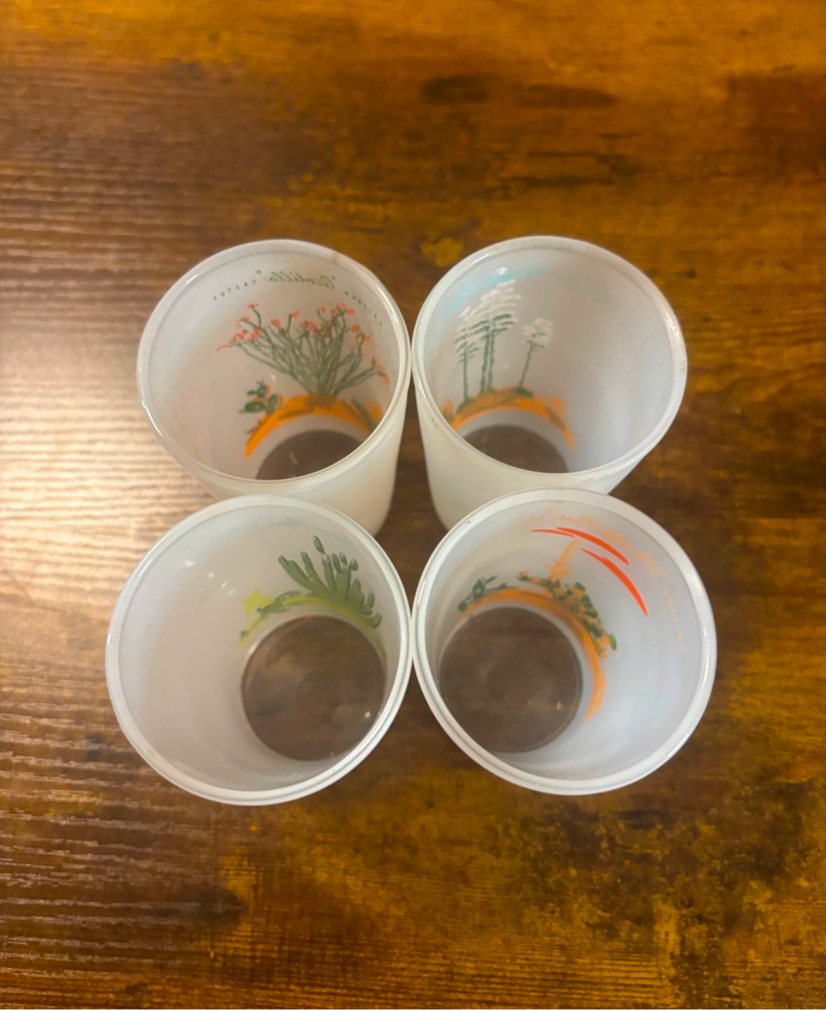 RARE 1959 BLAKELY OIL & GAS PROMO CACTUS LOW GLASS CUPS SET OF 4 *VINTAGE*