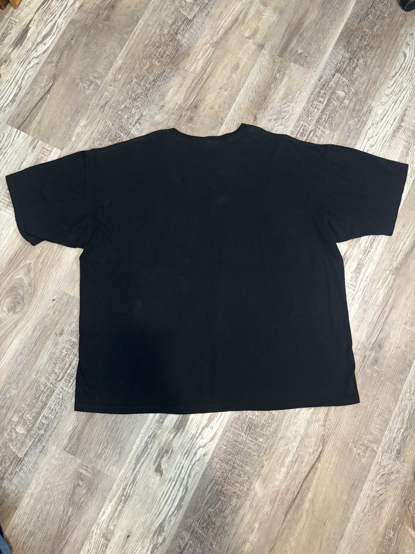 DEVIL'S TOWER BISON TEE *VINTAGE*