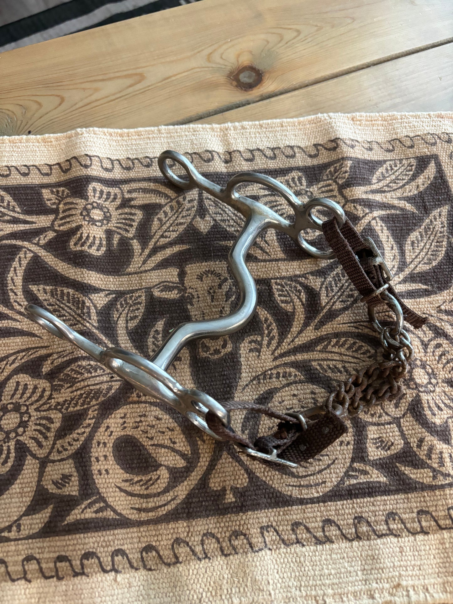 RUSTY CRUSTY HORSE BIT