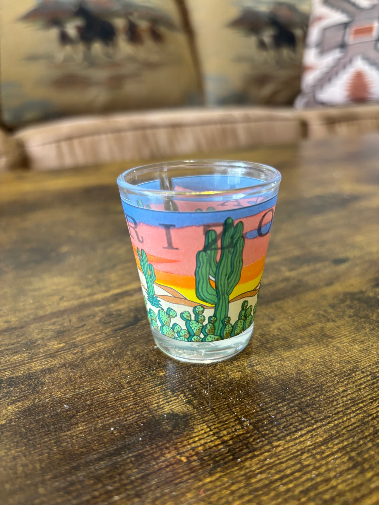 *VINTAGE* ARIZONA SOUVENIR DESERT SHOT GLASS