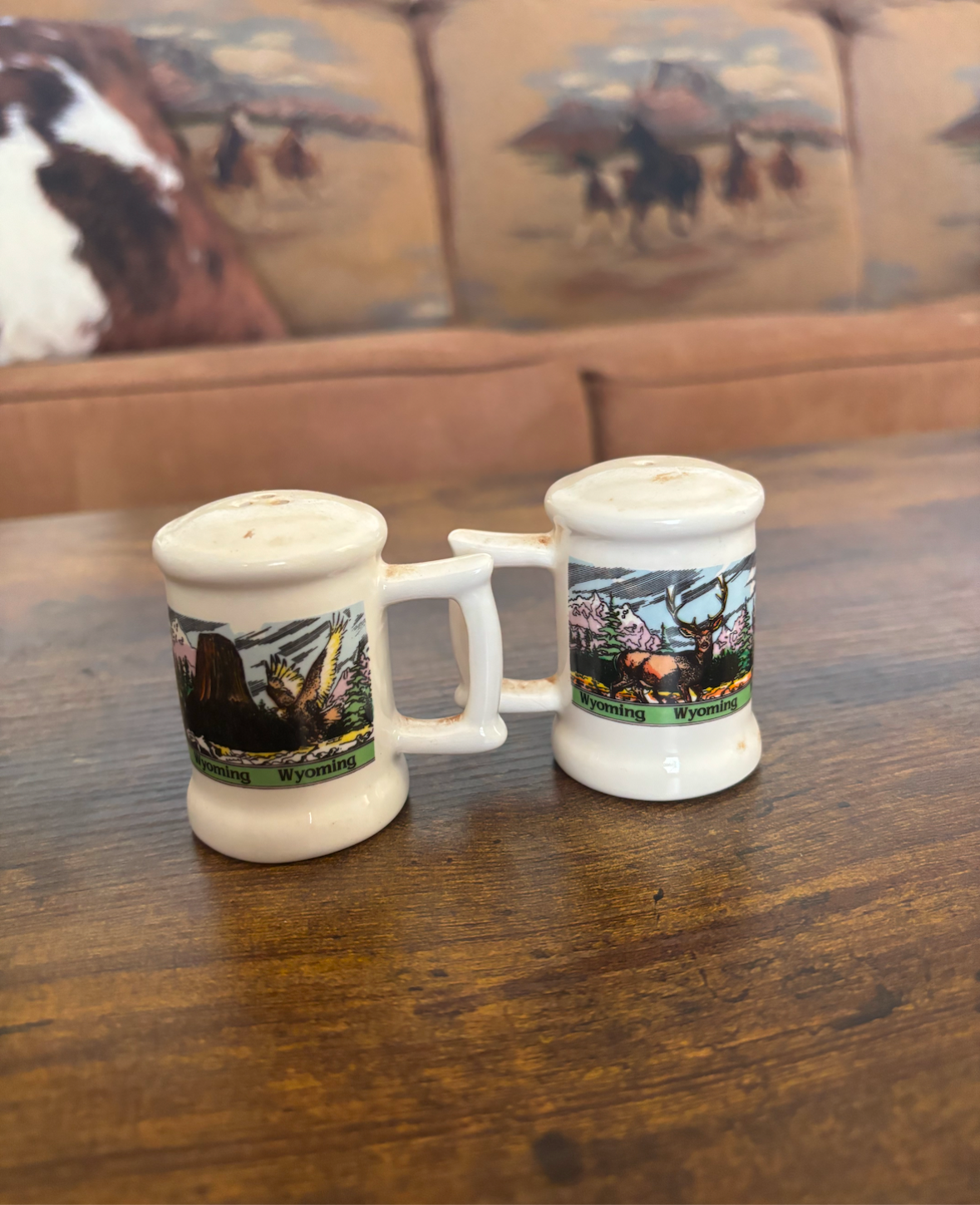 WYOMING SALT & PEPPER SHAKER SET *VINTAGE*