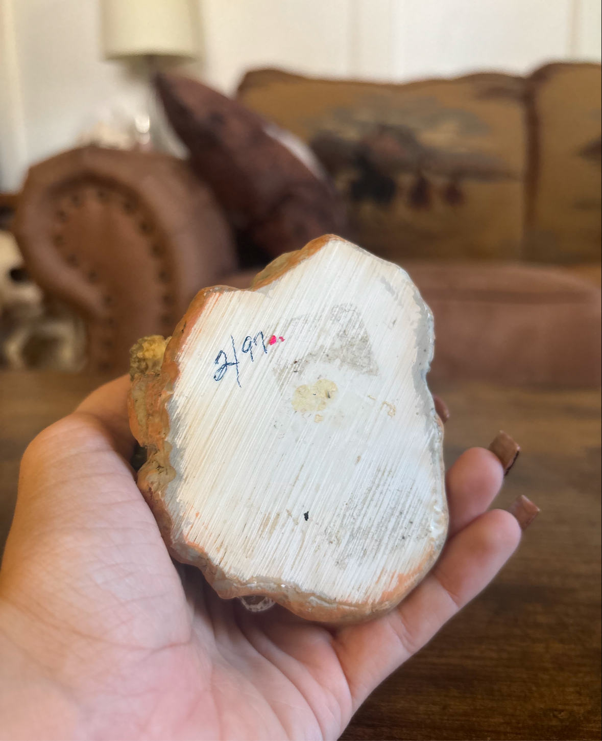 WESTERN CACTUS/ COYOTE FIGURE *VINTAGE*