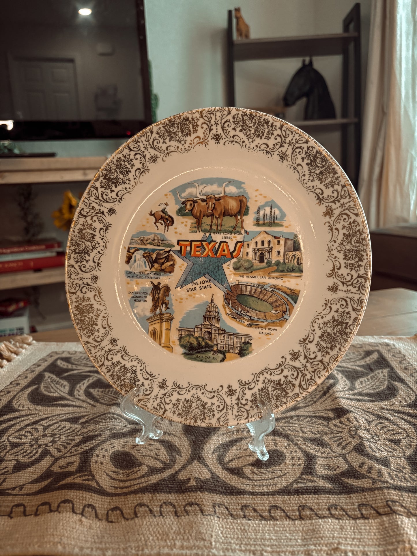*VINTAGE* TEXAS DECORATIVE PLATE