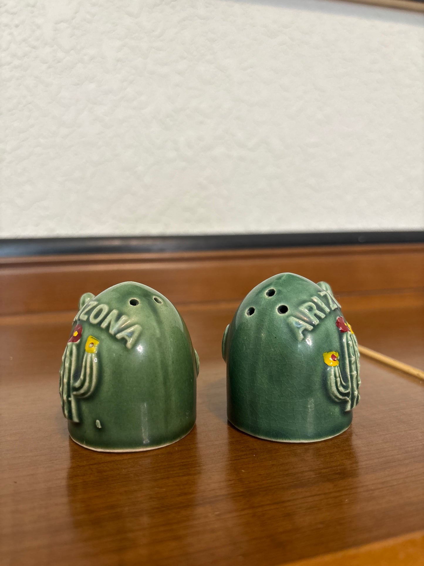 *VINTAGE* ARIZONA CACTUS SALT & PEPPER SHAKER SET