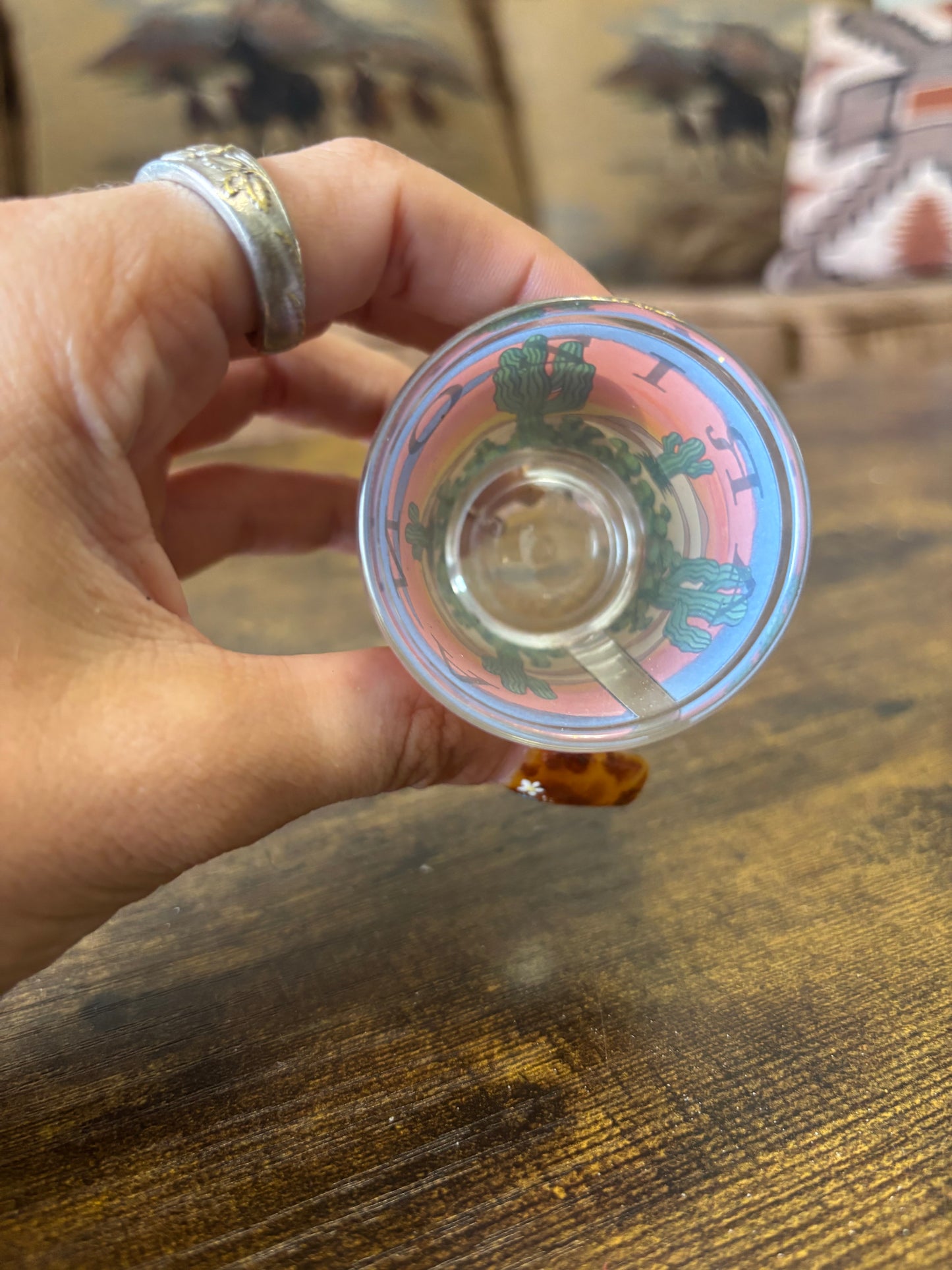 *VINTAGE* ARIZONA SOUVENIR DESERT SHOT GLASS