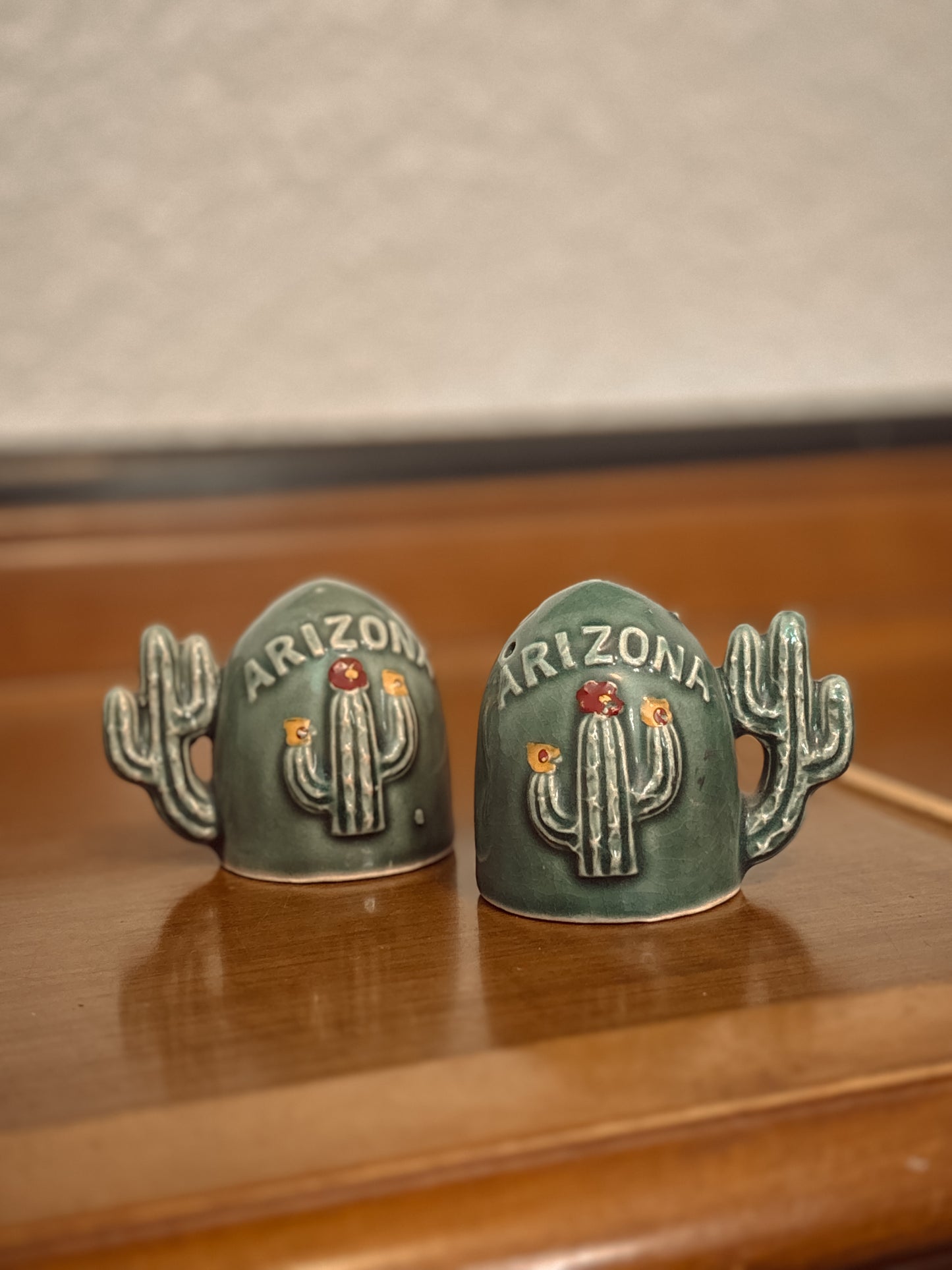 *VINTAGE* ARIZONA CACTUS SALT & PEPPER SHAKER SET