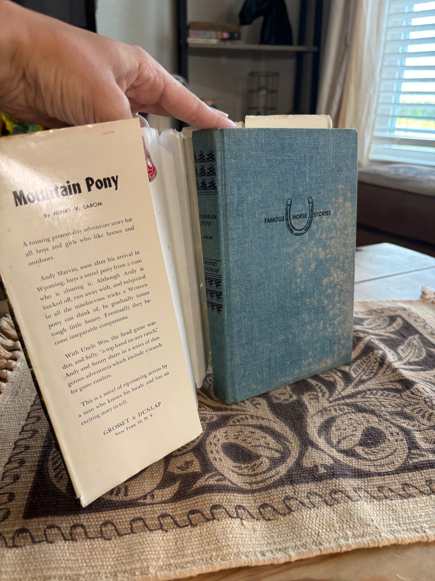 *VINTAGE* MOUNTAIN PONY FAMOUS HORSE STORIES BOOK