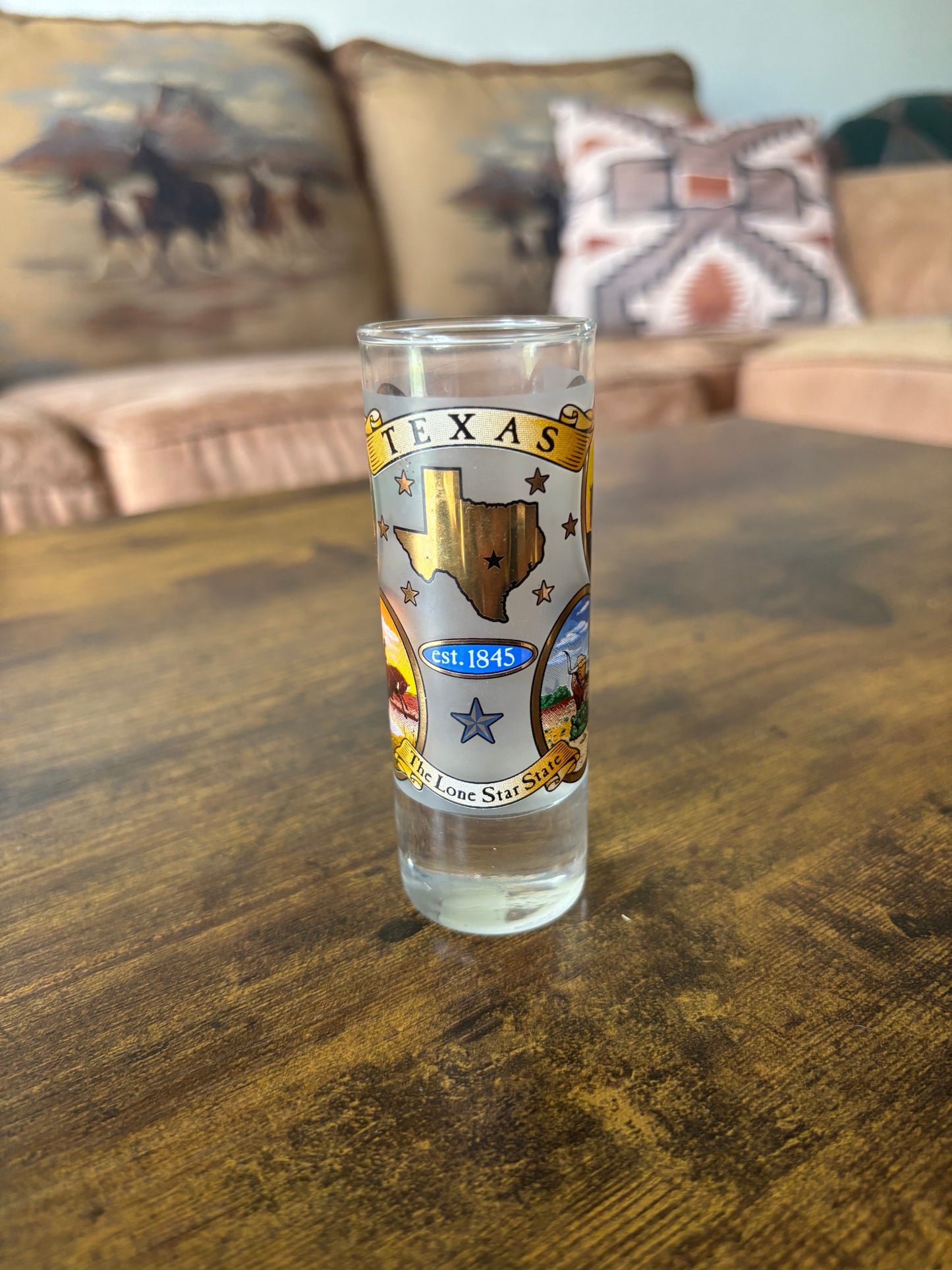 *VINTAGE* TEXAS SOUVENIR SHOT GLASS