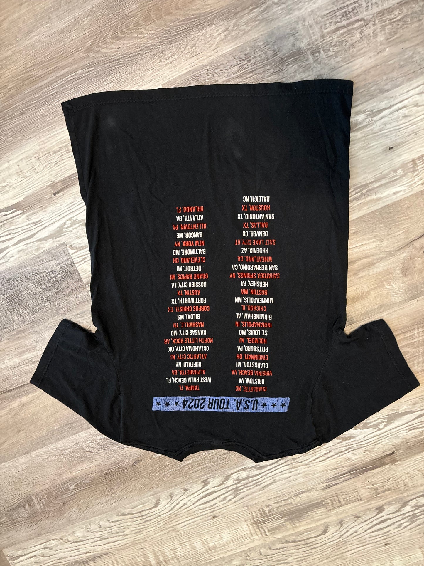 THREE DOORS DOWN SUMMER OF ‘99 NA TOUR ‘24
