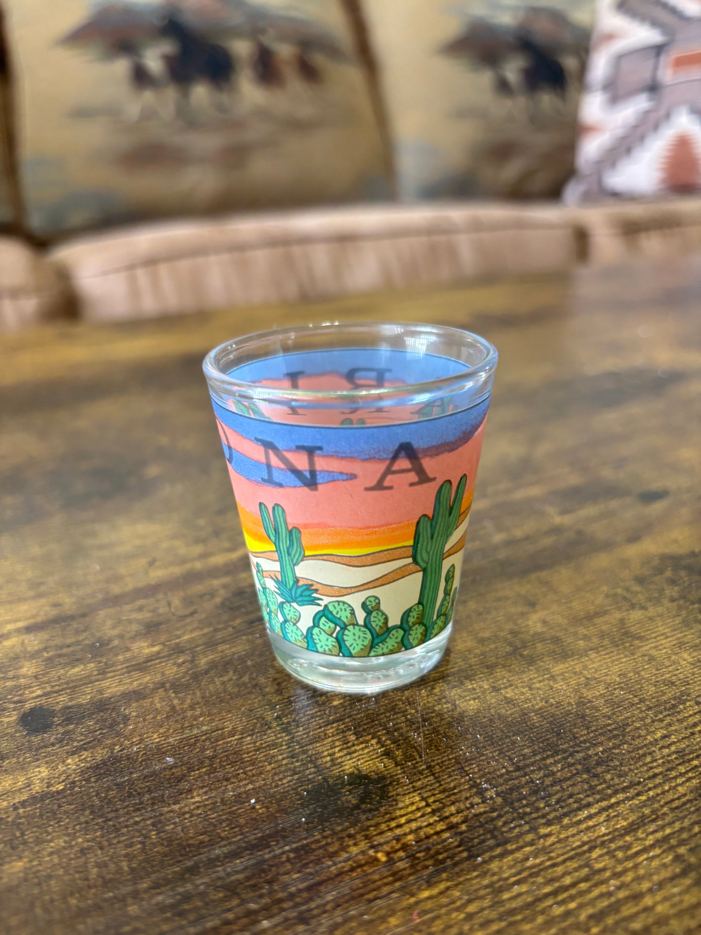 *VINTAGE* ARIZONA SOUVENIR DESERT SHOT GLASS