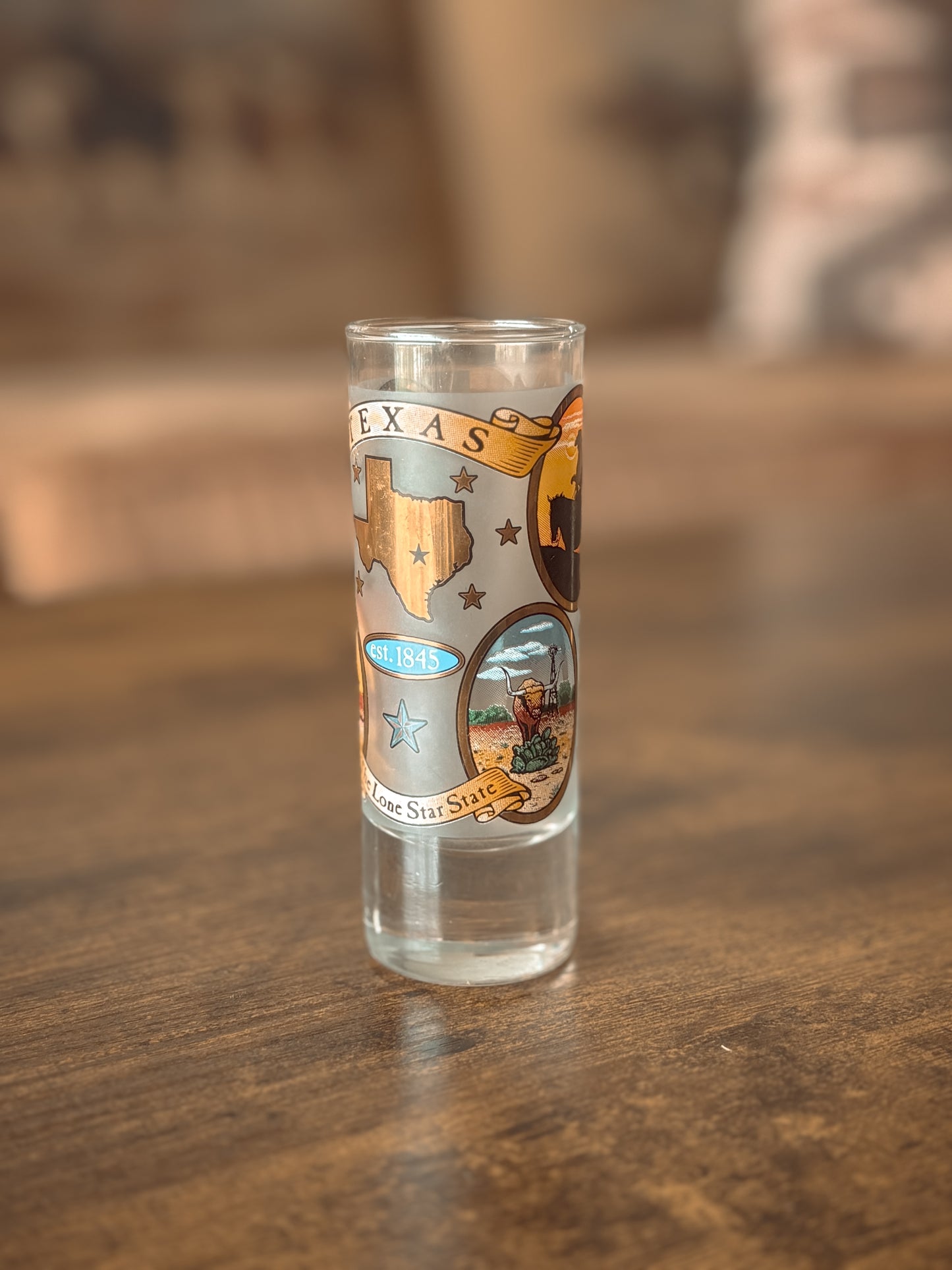 *VINTAGE* TEXAS SOUVENIR SHOT GLASS