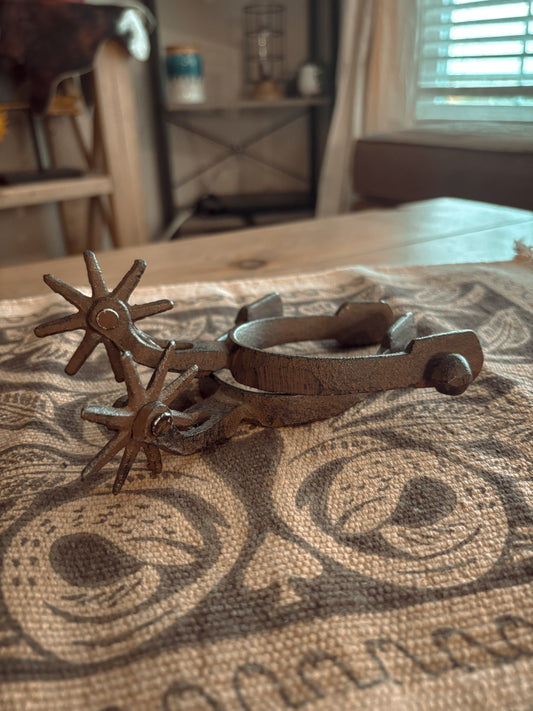 RUSTY CRUSTY SPURS (decor)