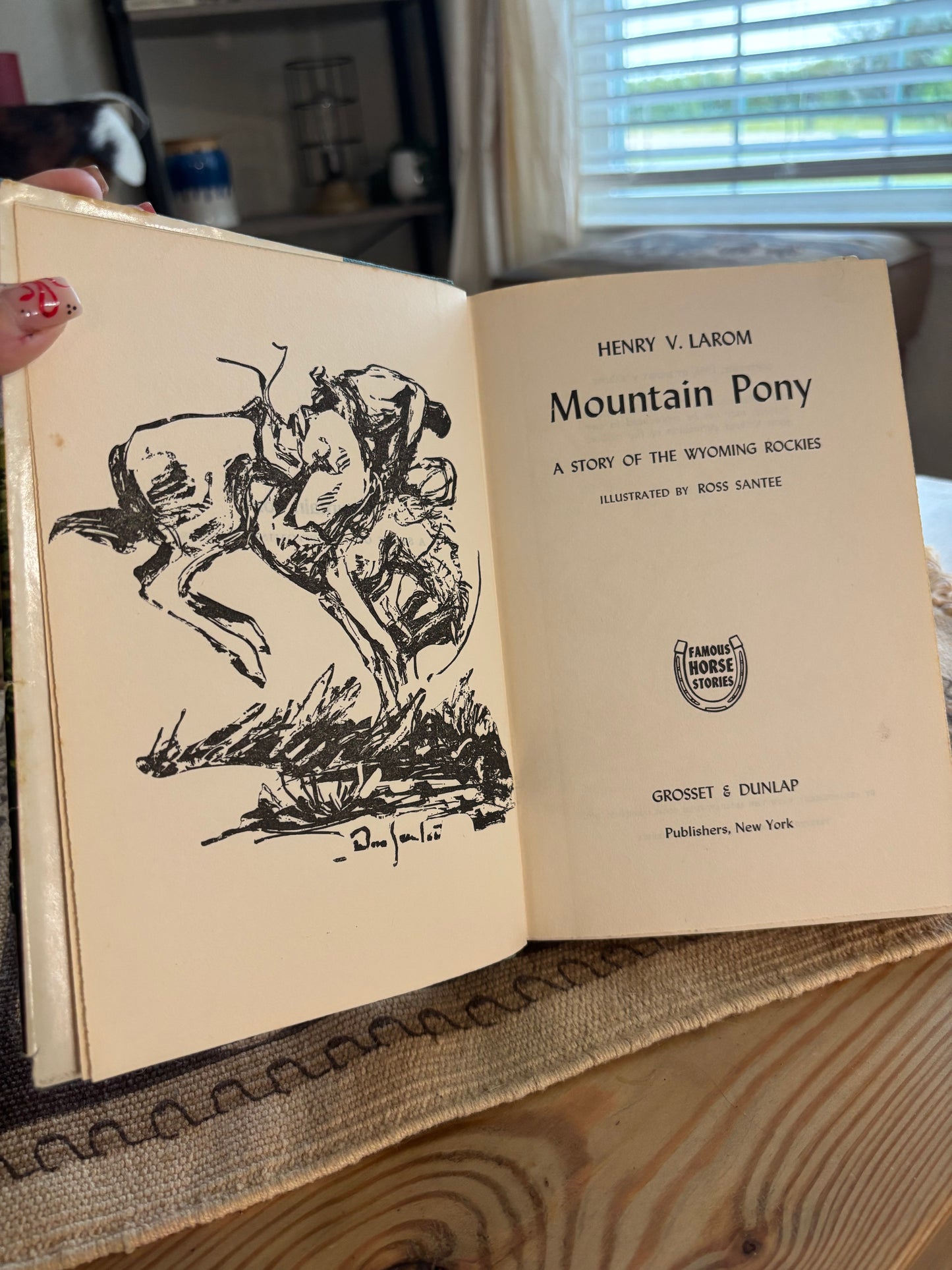 *VINTAGE* MOUNTAIN PONY FAMOUS HORSE STORIES BOOK