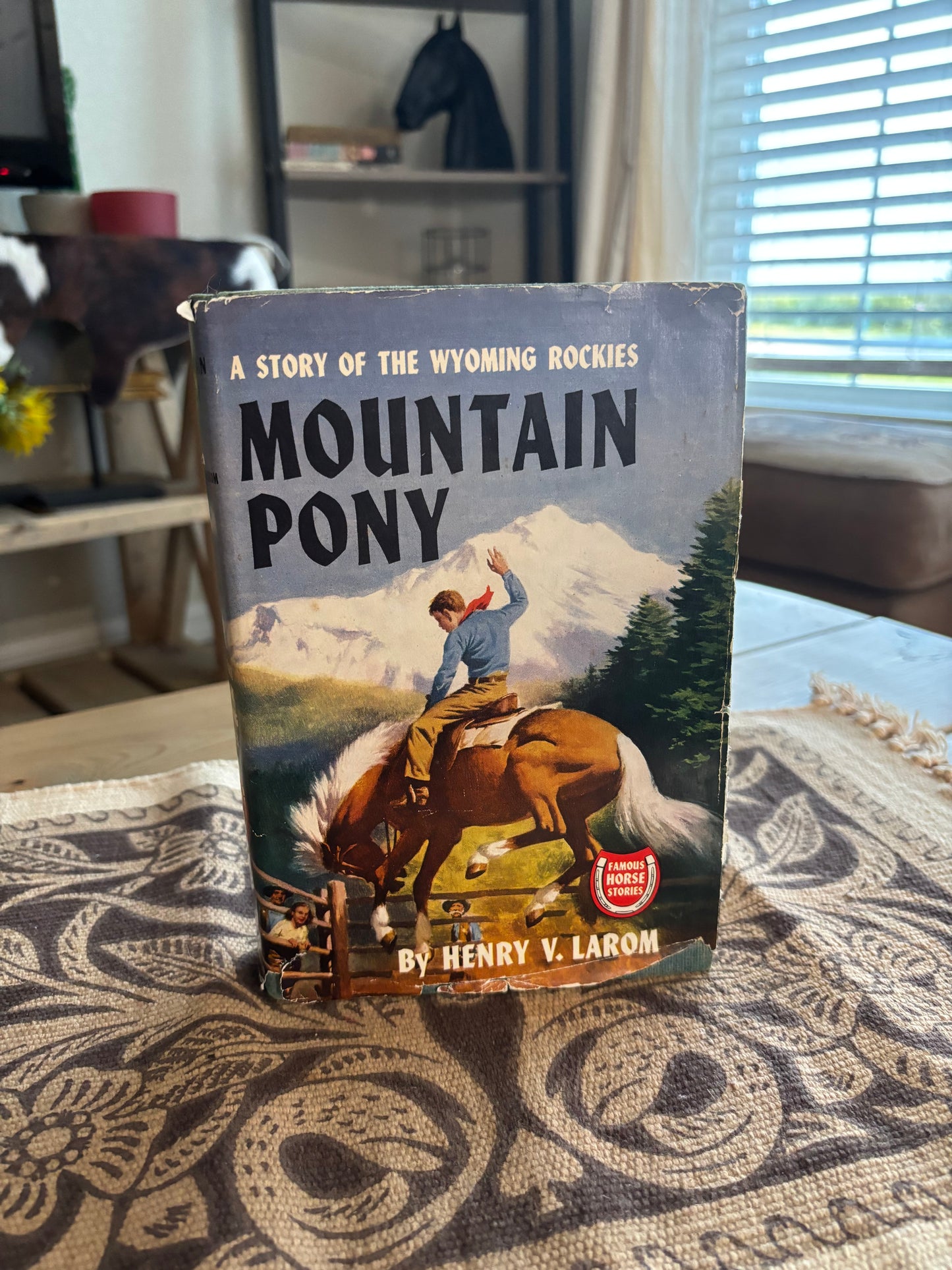 *VINTAGE* MOUNTAIN PONY FAMOUS HORSE STORIES BOOK