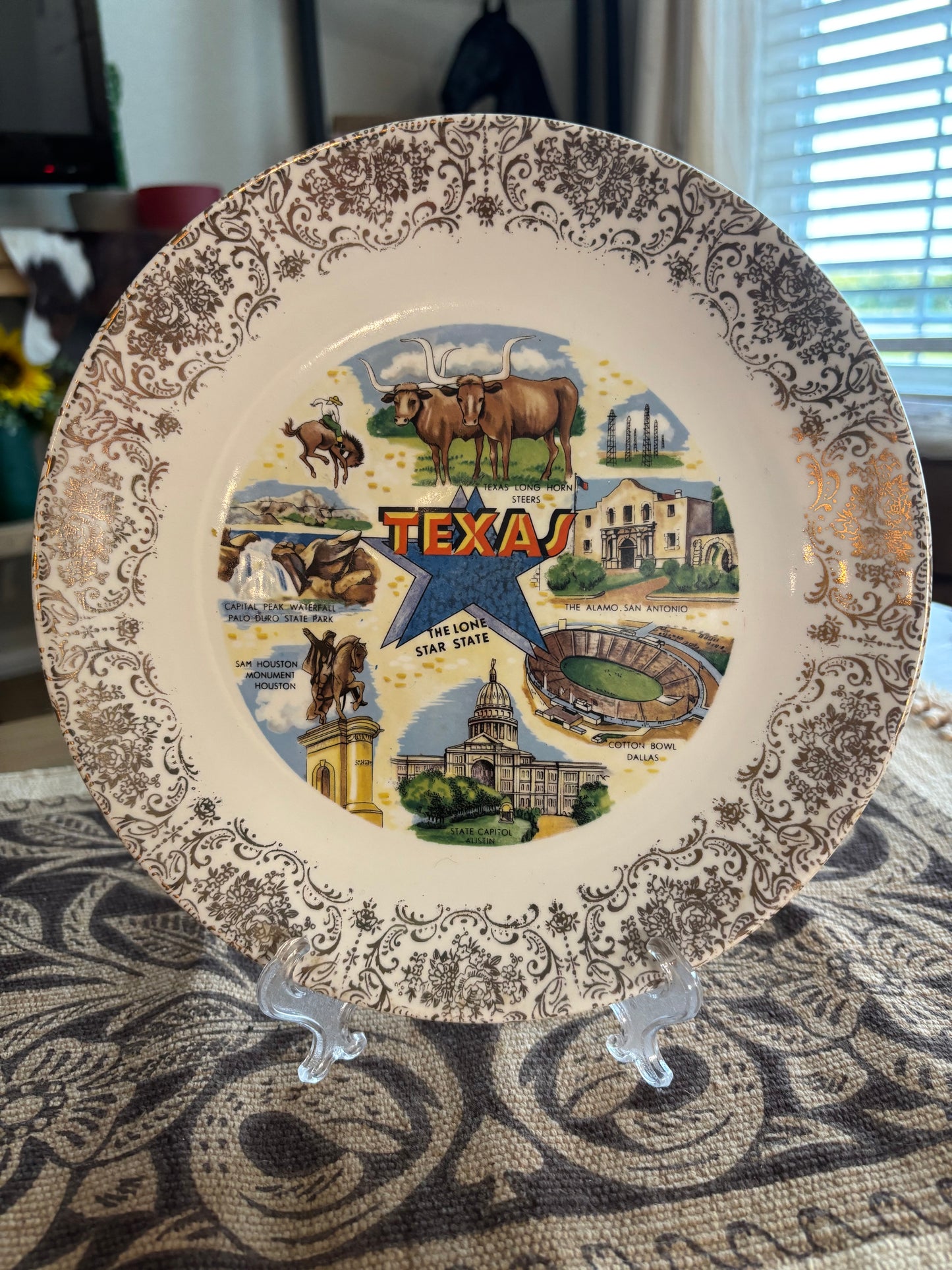 *VINTAGE* TEXAS DECORATIVE PLATE