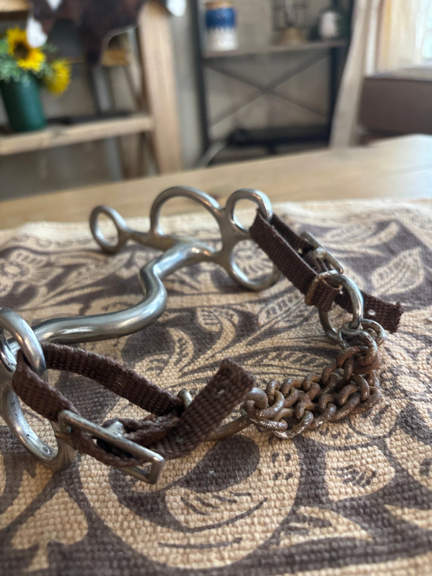 RUSTY CRUSTY HORSE BIT