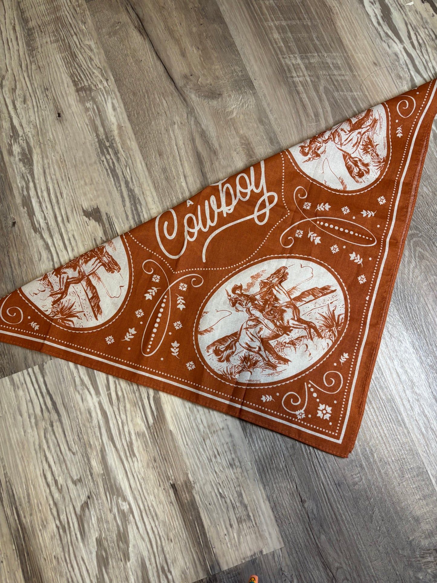 SHOULDA BEEN A COWBOY RUST ORANGE BANDANA/ SCARF