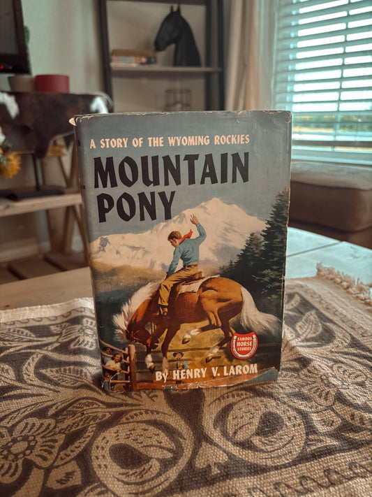*VINTAGE* MOUNTAIN PONY FAMOUS HORSE STORIES BOOK