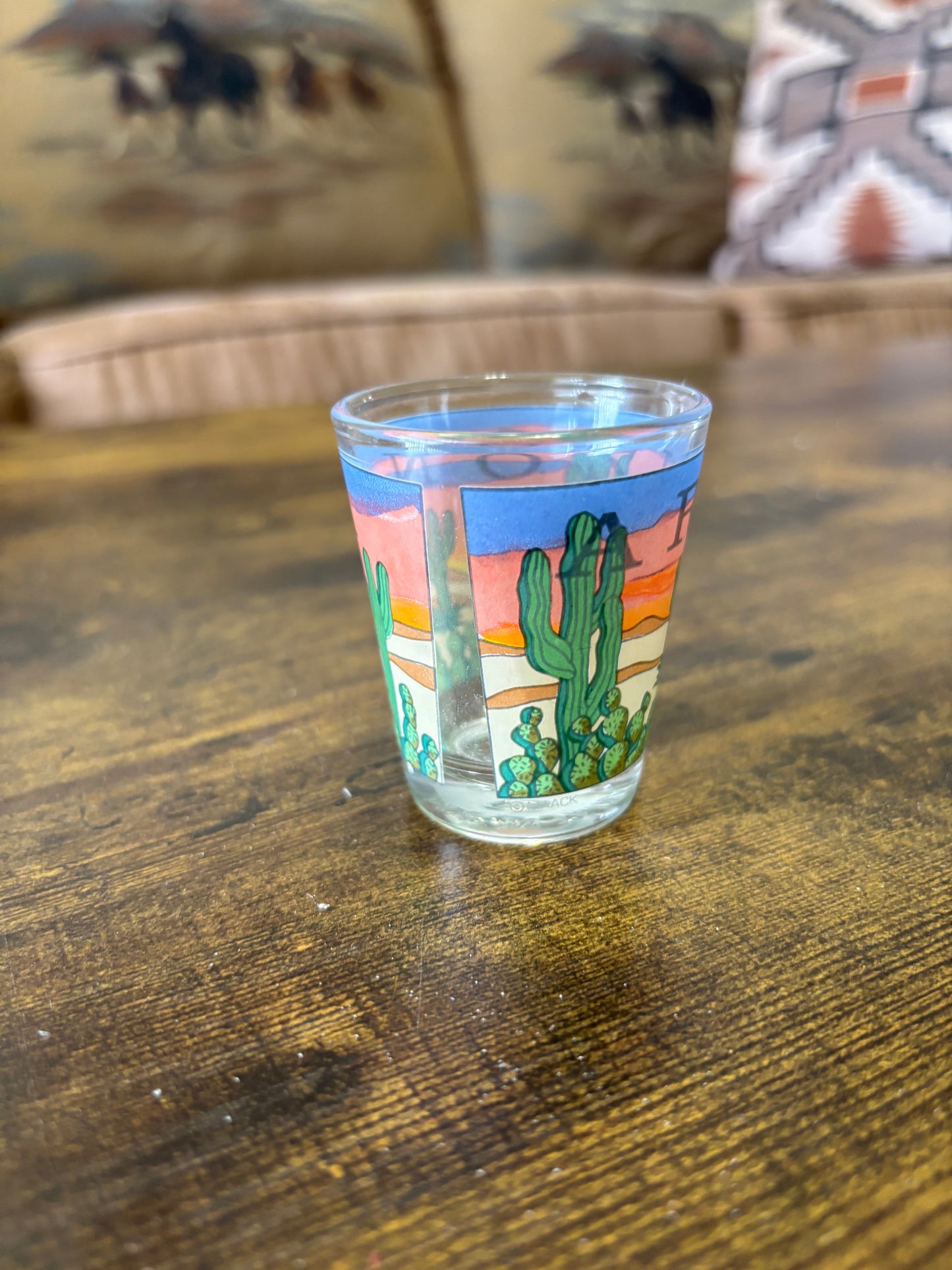 *VINTAGE* ARIZONA SOUVENIR DESERT SHOT GLASS