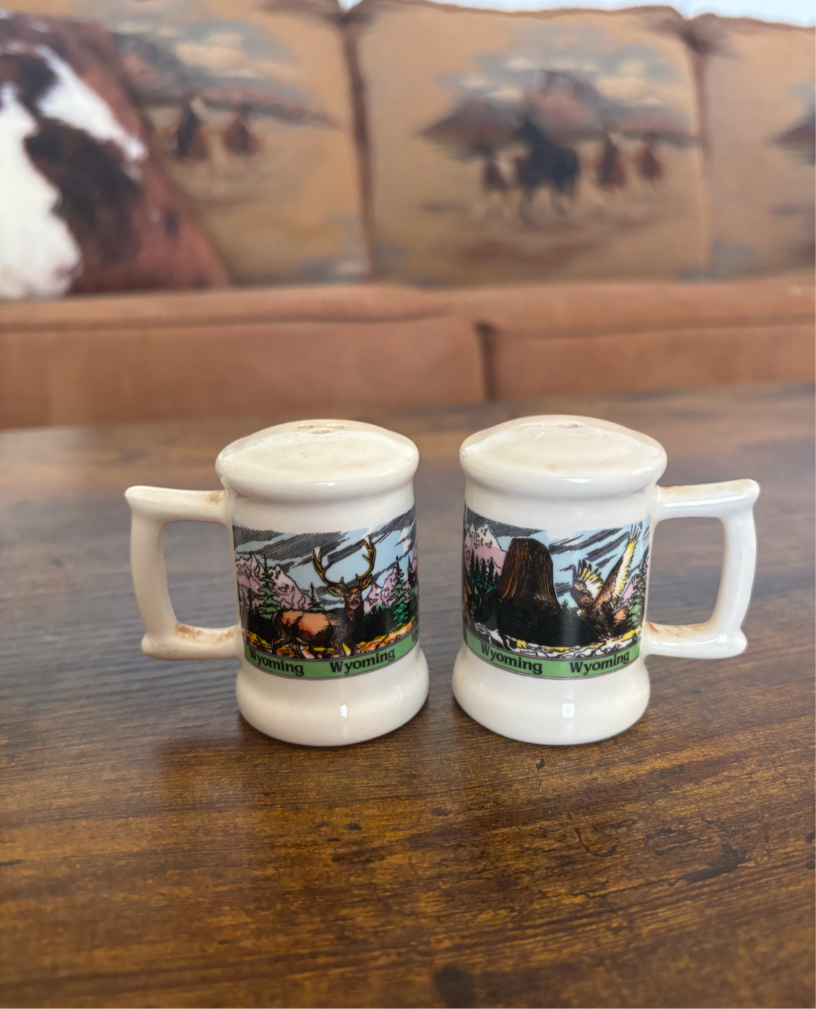 WYOMING SALT & PEPPER SHAKER SET *VINTAGE*