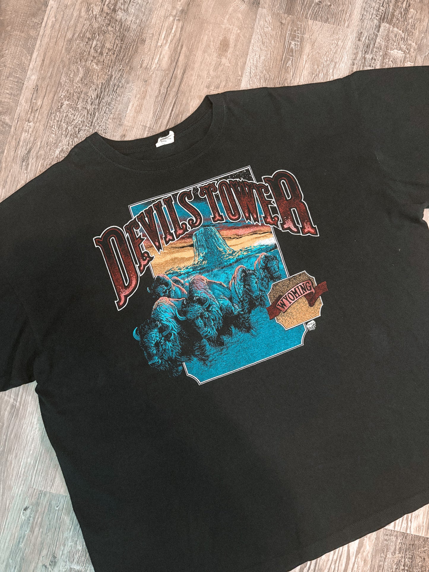 DEVIL'S TOWER BISON TEE *VINTAGE*