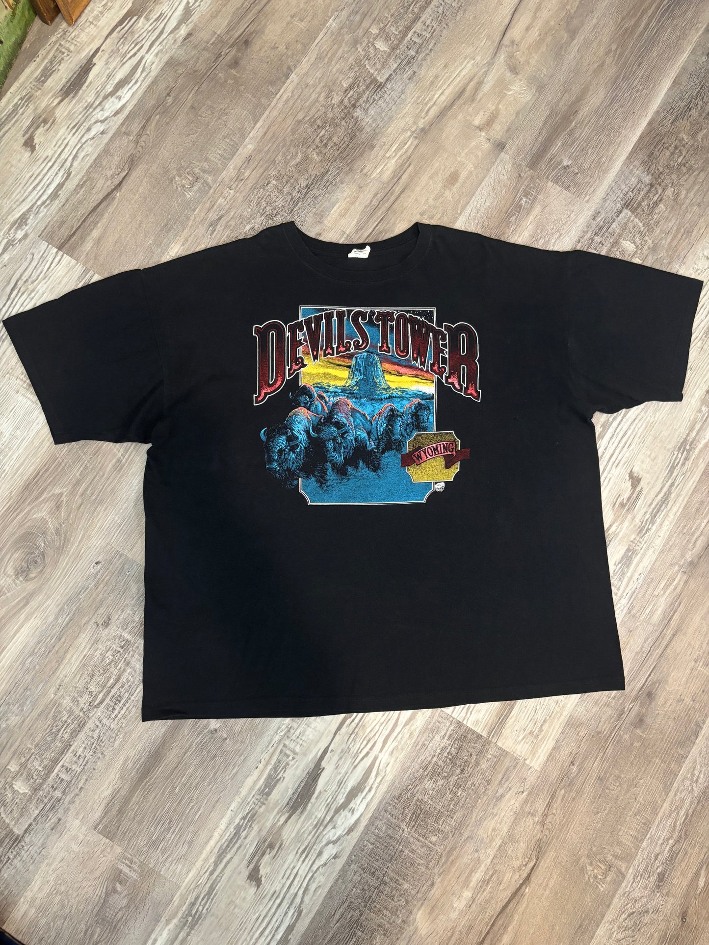 DEVIL'S TOWER BISON TEE *VINTAGE*