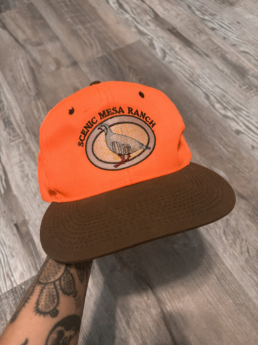 SCENIC MESA RANCH TRUCKER SNAPBACK HAT